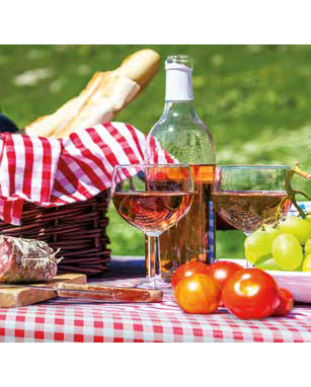 Piknik-kohtaus, jossa on Pyöreä vahakangasliina Ø140cm pöytäliina, viinilasit, viinipullo, kori, jossa on patonkia, salamiviipaleita, tomaatteja ja vihreitä viinirypäleitä aurinkoisena päivänä ulkona.