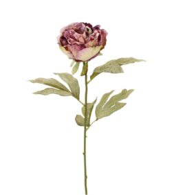 Yksittäinen keinotekoinen pionikukka, jossa on violetti ja kermanvärinen kukka sekä vihreät lehdet, eristettynä valkoisella taustalla.