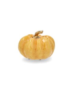 Pieni, kiiltävä kurpitsa, jossa on kultainen varsi, esillä yksinkertaisella valkoisella taustalla.