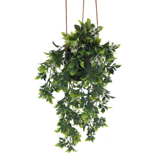Viherkasvi ruukussa riippuva 48cm 6 eril - Image 4