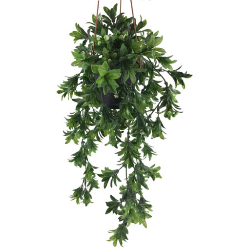 Viherkasvi ruukussa riippuva 48cm 6 eril - Image 3