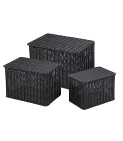 Polyrottinkikori kannella musta