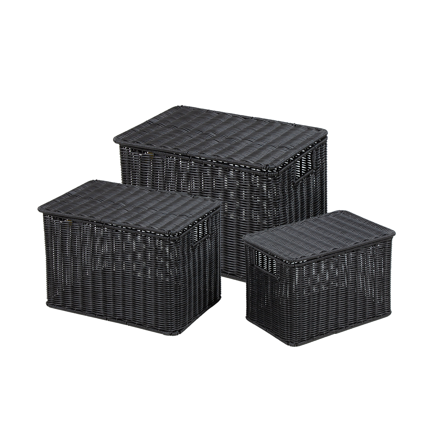 Polyrottinkikori kannella musta