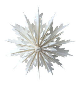 Paperitähti hiutale valkoinen