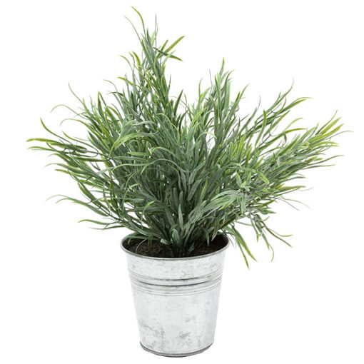 Koristekasvi ruukussa 28cm