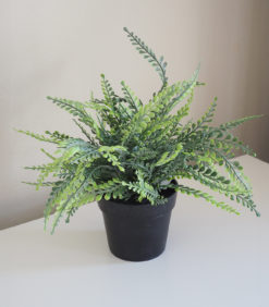 Koristesaniainen 35cm erilaisia