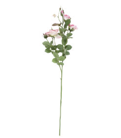 Ruusu royal 75cm, pinkki