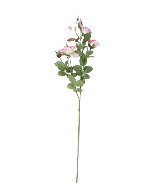Ruusu royal 75cm, pinkki