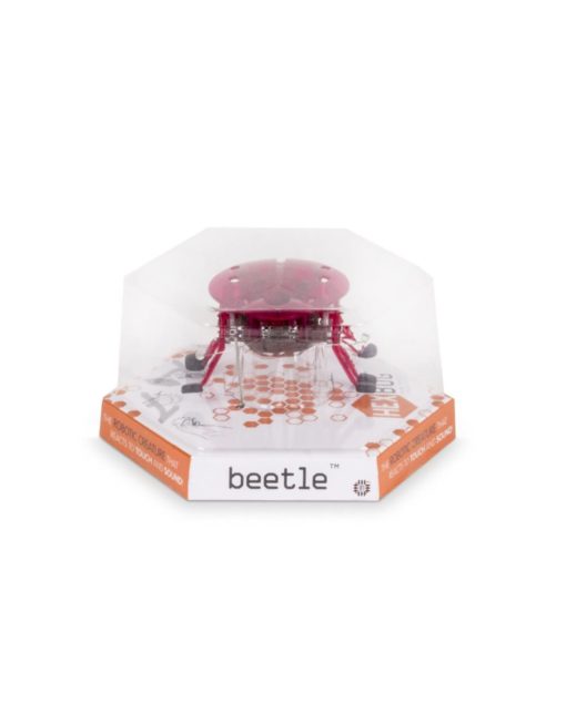 Hexbug beetle