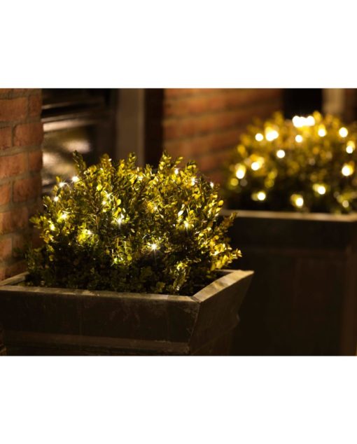 Kaksi Valoverkko 80led -ruukkuista vihreää pensasta, jotka on koristeltu pienillä lämpimän valkoisilla valonjohdoilla, istuvat ulkona tiiliseinää vasten ja hehkuvat pehmeästi yöllä.