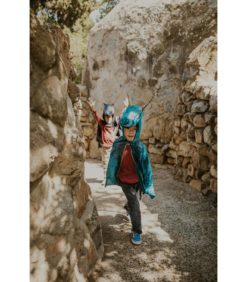 Alternative view of Lohikäärmeasu 4-6 vuotiaille