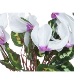 Syklaami ruukussa 28cm