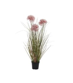 Heinäkasvi ruukussa 60cm