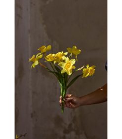 Tekokukkakimppu Narsissi