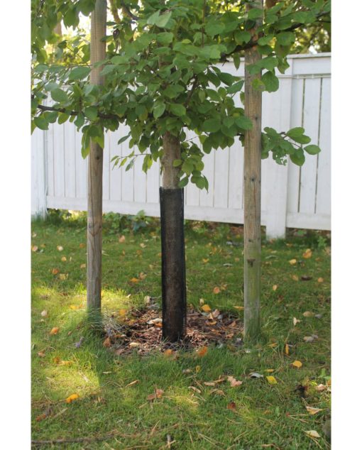 Rungonsuoja 55cm muoviverkko 2kpl/pss