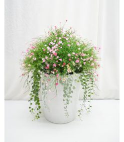 Kukka-asetelma vaaleanpunainen/valkoinen 65cm