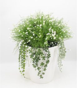 Kukka-asetelma valkoinen 63cm