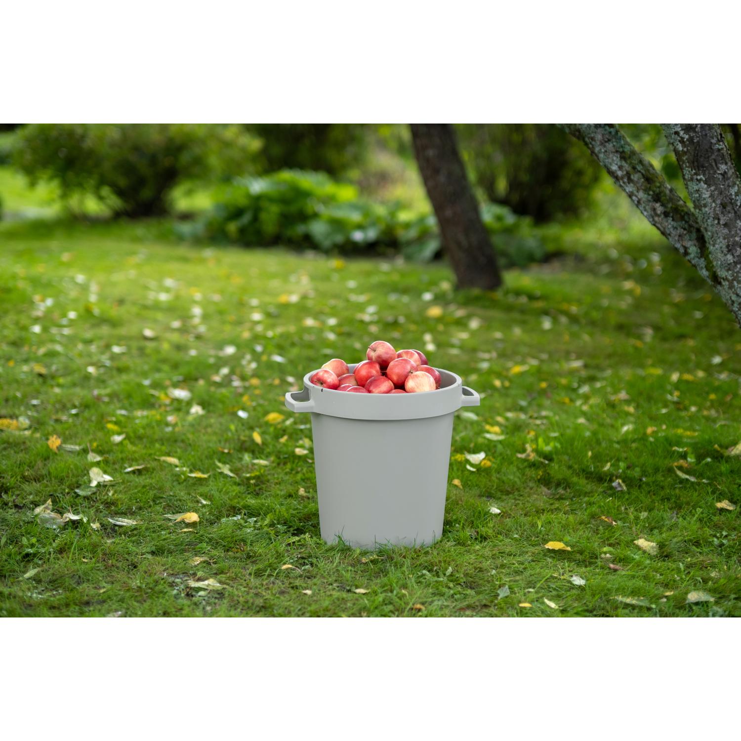 Saavi 30l hiekanruskea täynnä omenoita