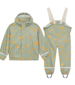 Sadeasusetti Leijona