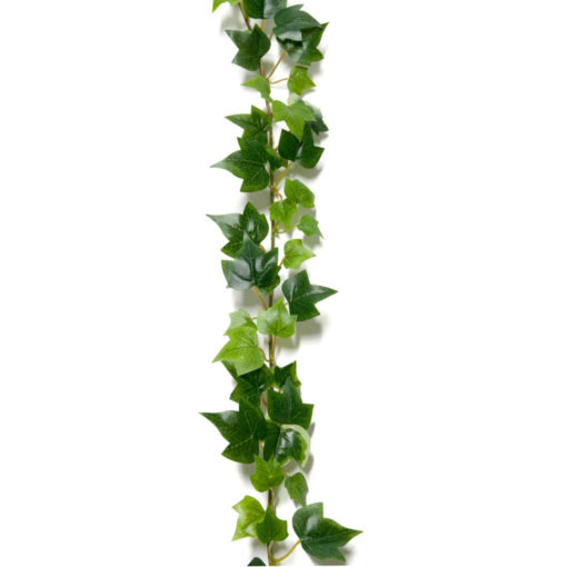 Muratti köynnös 180cm