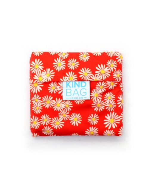 Kestokassi Daisy - Image 3