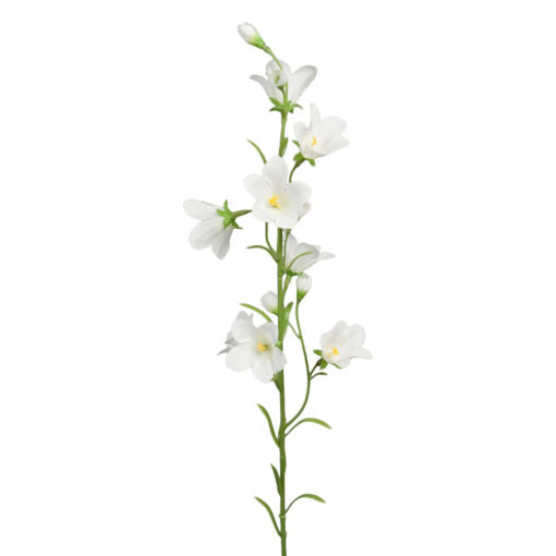 Sinikello valkoinen oksa 65cm