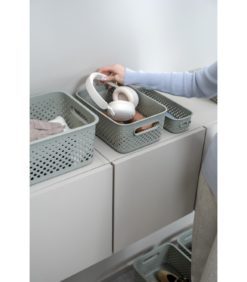 SmartStore™ Essence Salvia