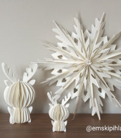 Paperitähti hiutale valkoinen. Kuvaaja @emskipihla