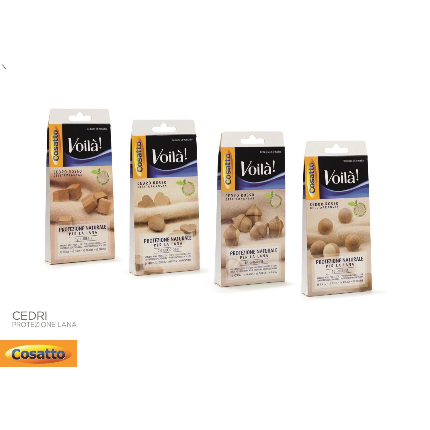 Setripuu koikarkoitin