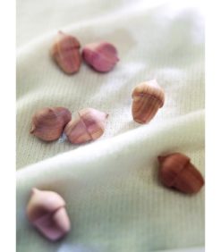 Alternative view of Setripuu koikarkoitin