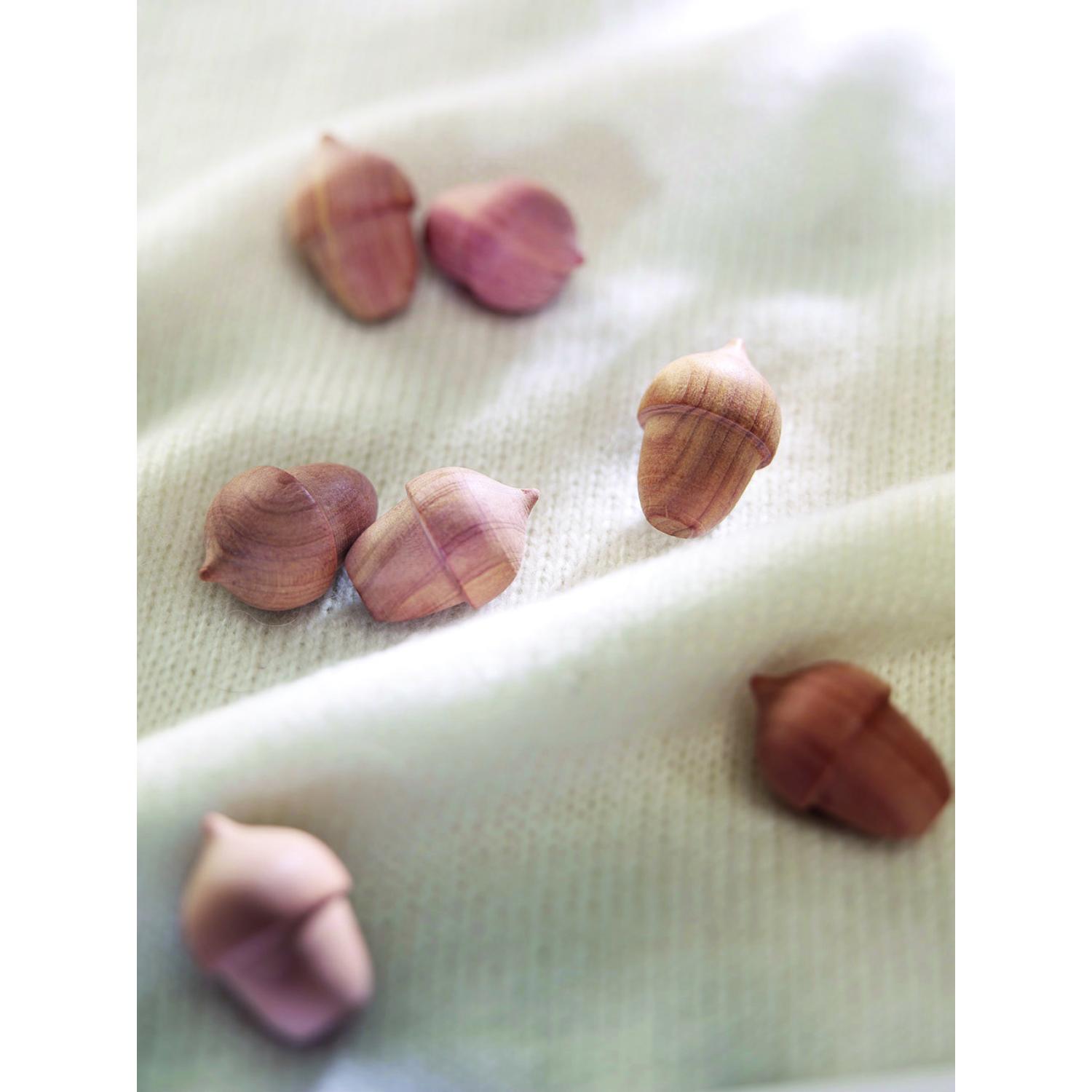 Setripuu koikarkoitin - Image 2