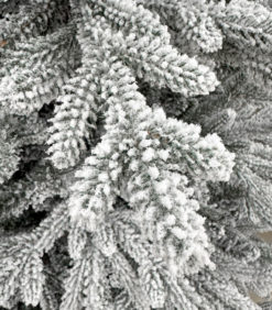 Joulukuusi lumihuurre