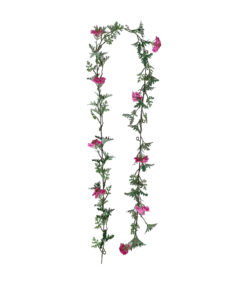 Köynnös Verbena pinkki 180cm