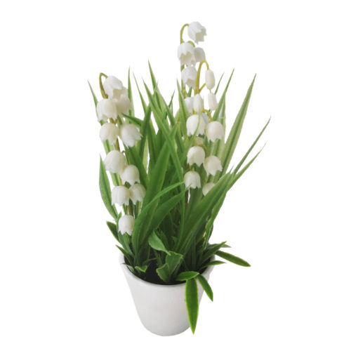 Minikukka ruukussa valkoinen 20cm - Image 3