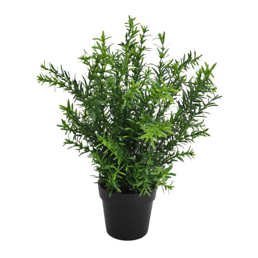Koristeviherkasvi 35cm