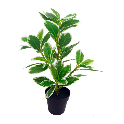 Viherkasvi ruukussa 35cm - Image 2