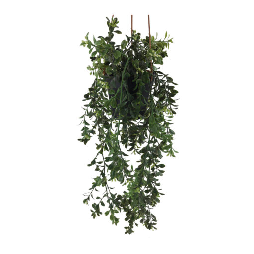 Viherkasvi ruukussa riippuva 48cm 6 eril - Image 2