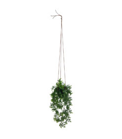 Viherkasvi ruukussa riippuva 48cm 6 eril