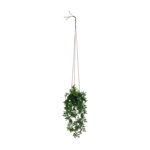 Viherkasvi ruukussa riippuva 48cm 6 eril