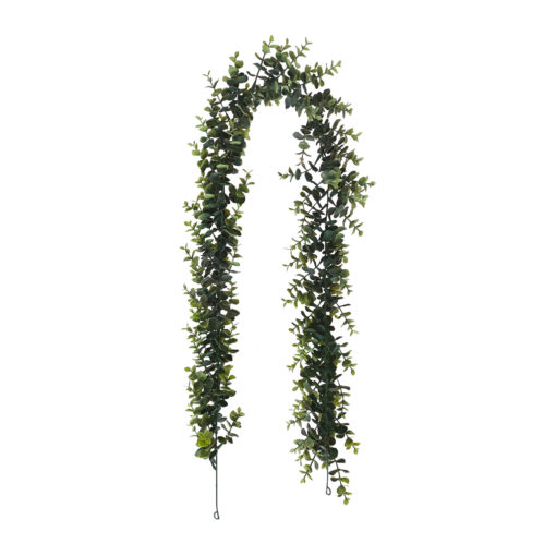 Eukalyptusköynnös 150cm