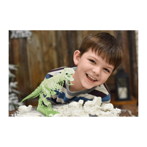 Glow in the dark T-rex - Image 3