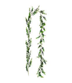 Köynnös valkoisilla minikukilla 180cm