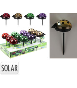 Puutarhakoriste leppäkerttu solar