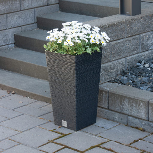 Ruukku Furu antrasiitti - Image 2